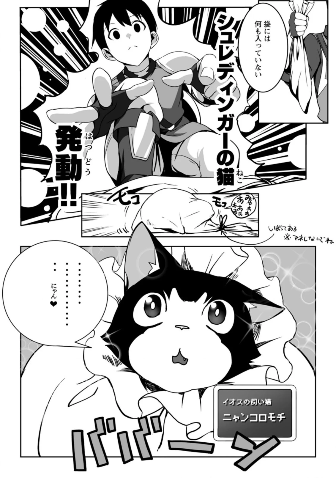 俺だけ選び放題、Ｓ級レアアイテムも壊れスキルも覚醒した【シュレディンガーの猫】で思うがまま！ ～冒険者の俺はレベルも金も稼いで幸せなので、追放してきた連中も自力で頑張ってくれ～ 第1.1話 - 11