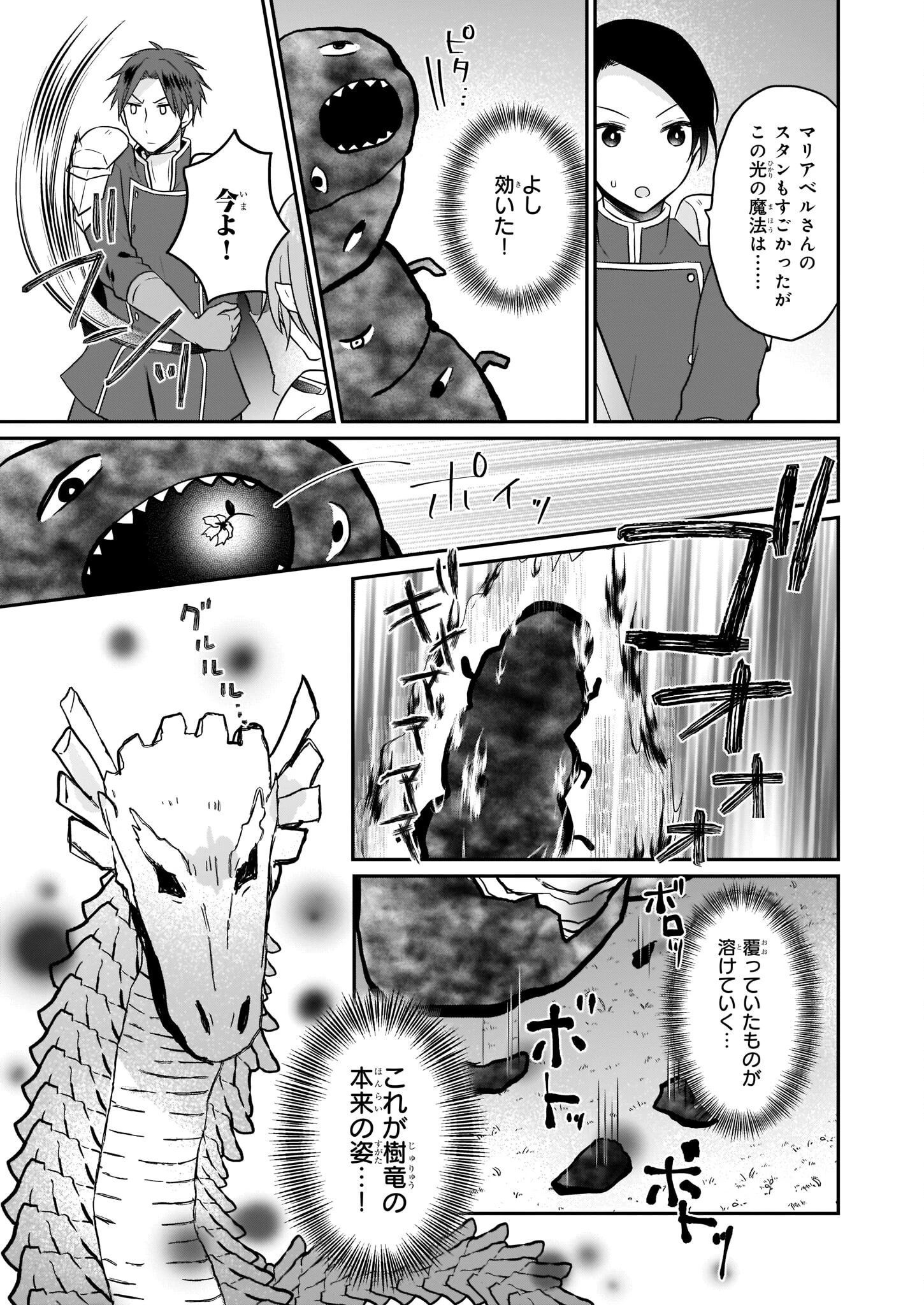 本物の方の勇者様が捨てられていたので私が貰ってもいいですか？ 第12話 - 19