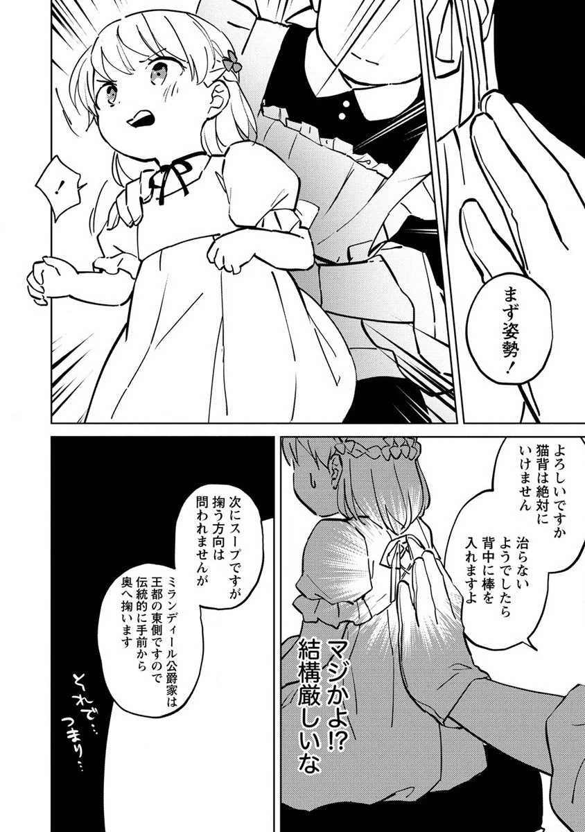 公爵令嬢に転生してしまったので、メンタル乙女な俺は、全力で女の子を楽しみます 第3話 - 26