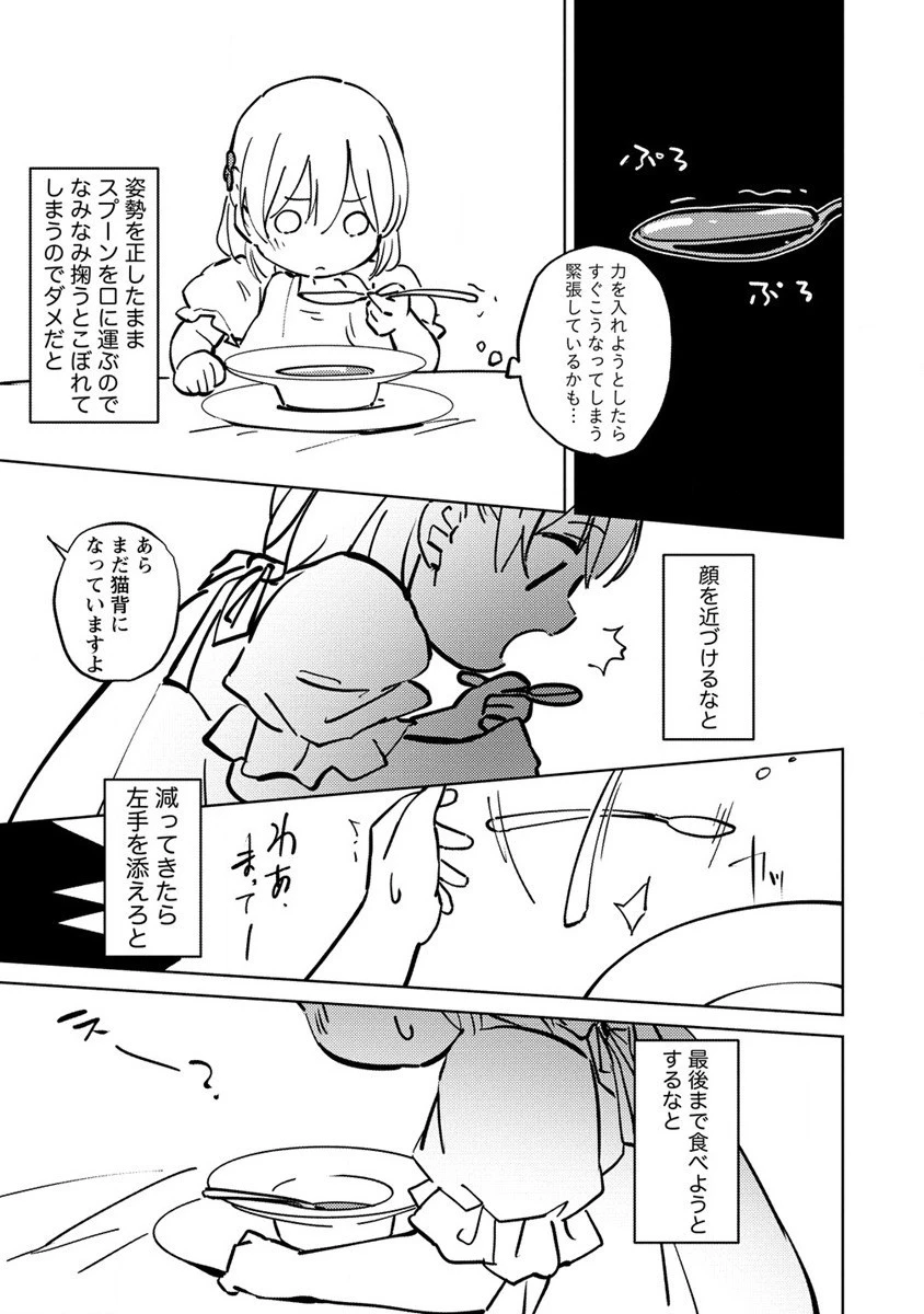 公爵令嬢に転生してしまったので、メンタル乙女な俺は、全力で女の子を楽しみます 第3話 - 27