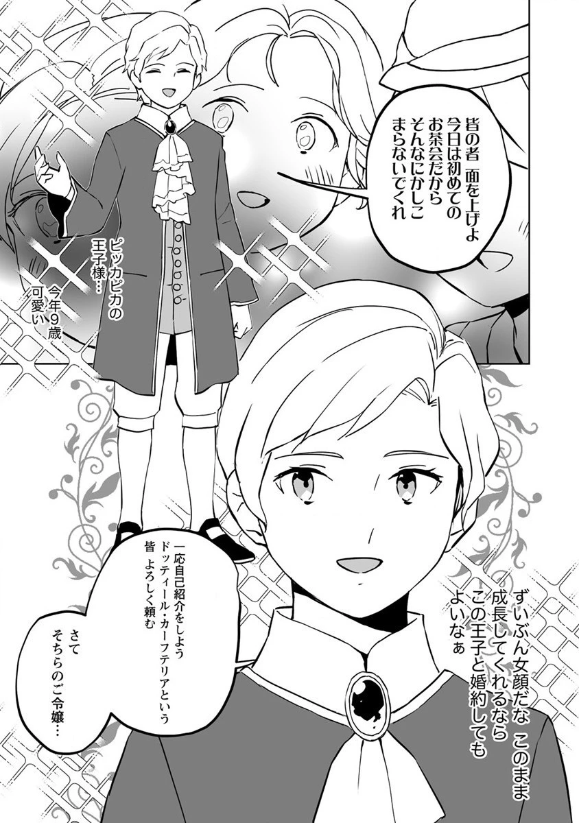公爵令嬢に転生してしまったので、メンタル乙女な俺は、全力で女の子を楽しみます 第10話 - 27