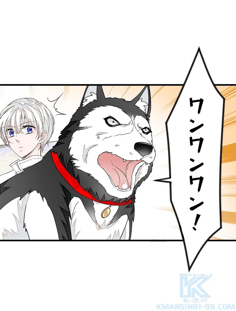 この嘘は致し方ないでしょう？ 第139話 - 46