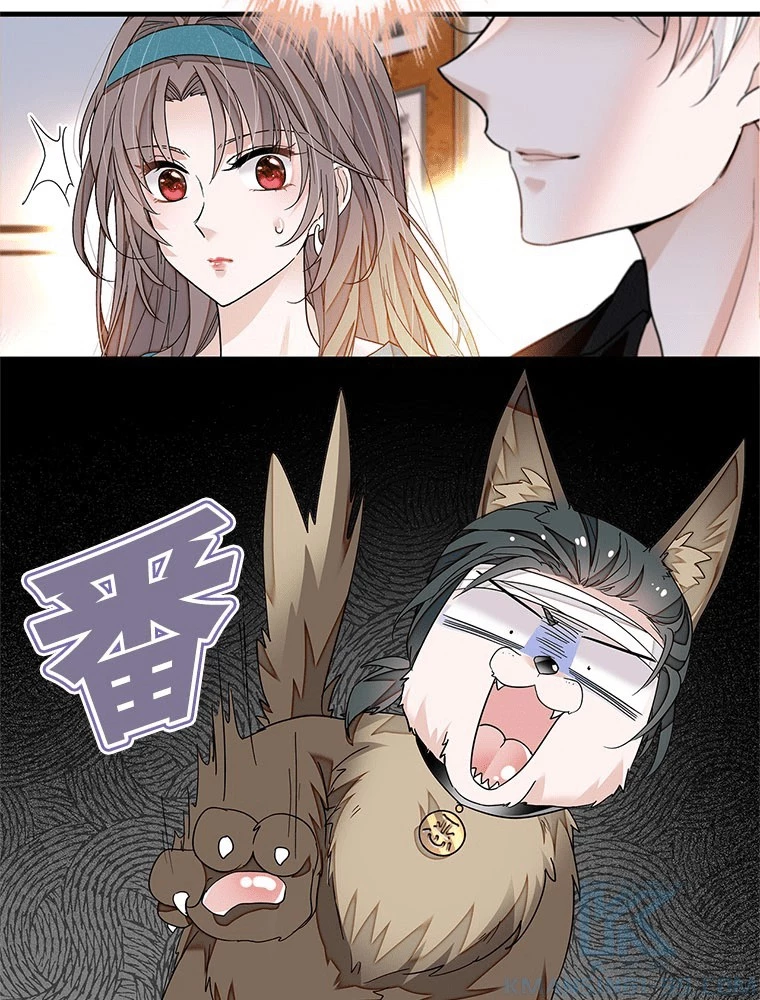 この嘘は致し方ないでしょう？ 第147話 - 58