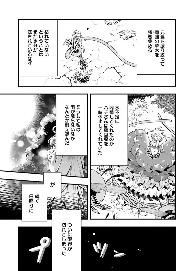 植物モンスター娘日記　～聖女だった私が裏切られた果てにアルラウネに転生してしまったので、これからは光合成をしながら静かに植物ライフを過ごします～ 第3話 - 13