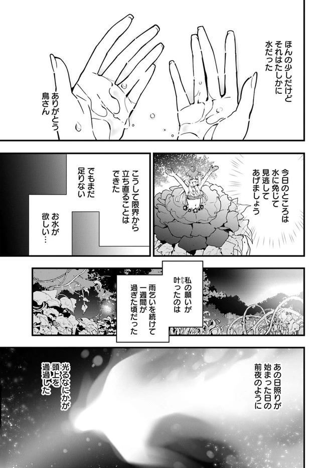 植物モンスター娘日記　～聖女だった私が裏切られた果てにアルラウネに転生してしまったので、これからは光合成をしながら静かに植物ライフを過ごします～ 第3話 - 17