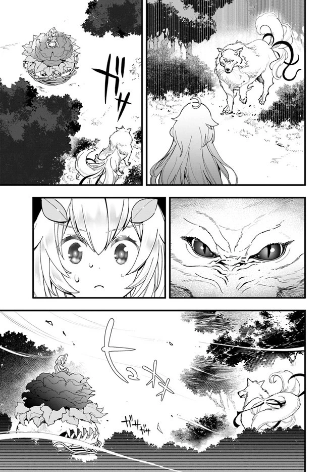植物モンスター娘日記　～聖女だった私が裏切られた果てにアルラウネに転生してしまったので、これからは光合成をしながら静かに植物ライフを過ごします～ 第5話 - 9