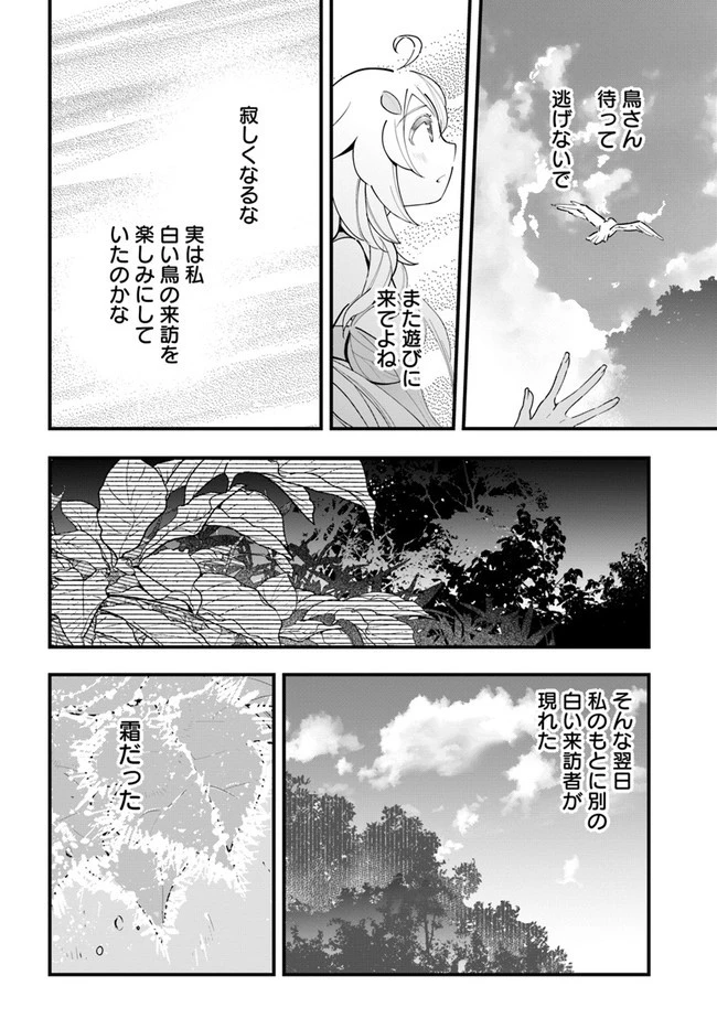 植物モンスター娘日記　～聖女だった私が裏切られた果てにアルラウネに転生してしまったので、これからは光合成をしながら静かに植物ライフを過ごします～ 第9話 - 12