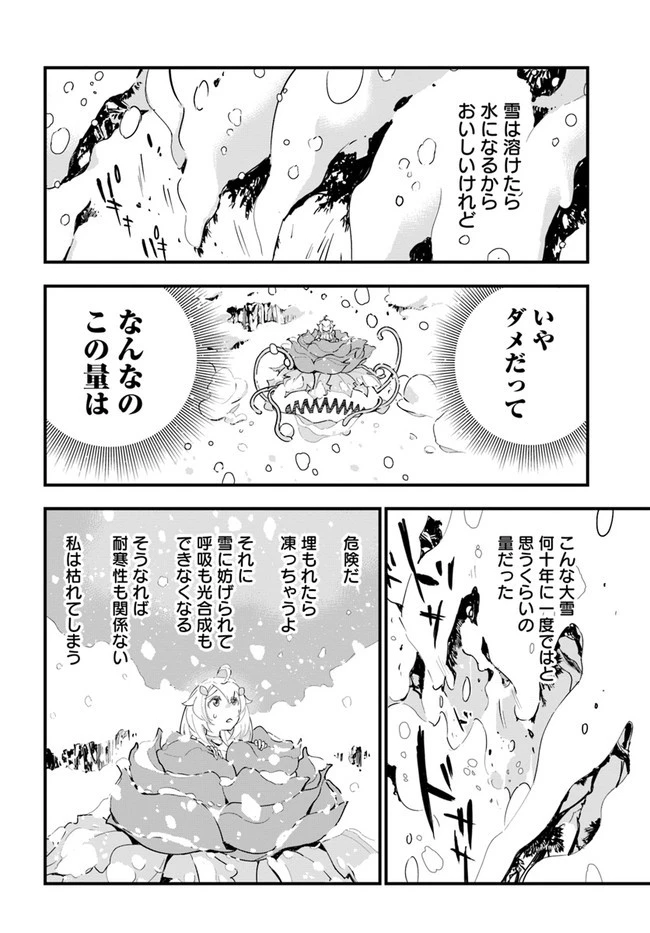 植物モンスター娘日記　～聖女だった私が裏切られた果てにアルラウネに転生してしまったので、これからは光合成をしながら静かに植物ライフを過ごします～ 第9話 - 18