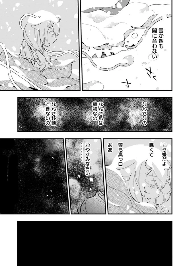 植物モンスター娘日記　～聖女だった私が裏切られた果てにアルラウネに転生してしまったので、これからは光合成をしながら静かに植物ライフを過ごします～ 第9話 - 19