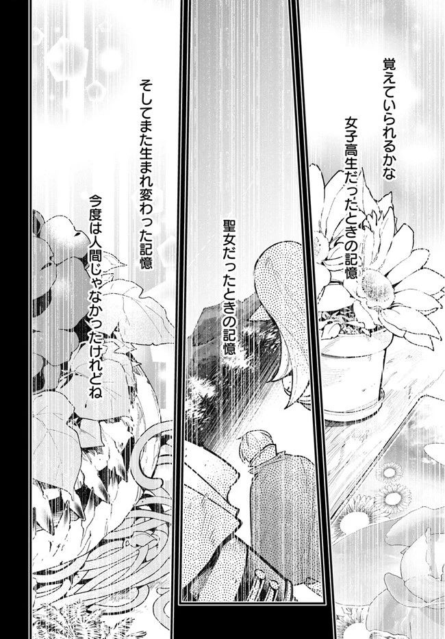 植物モンスター娘日記　～聖女だった私が裏切られた果てにアルラウネに転生してしまったので、これからは光合成をしながら静かに植物ライフを過ごします～ 第14話 - 23