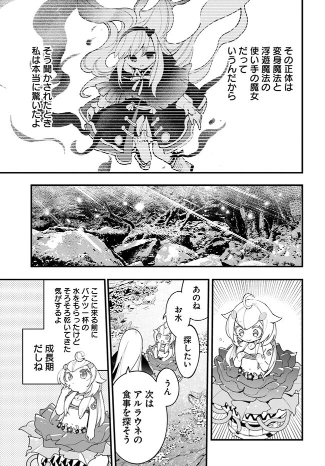 植物モンスター娘日記　～聖女だった私が裏切られた果てにアルラウネに転生してしまったので、これからは光合成をしながら静かに植物ライフを過ごします～ 第16話 - 9