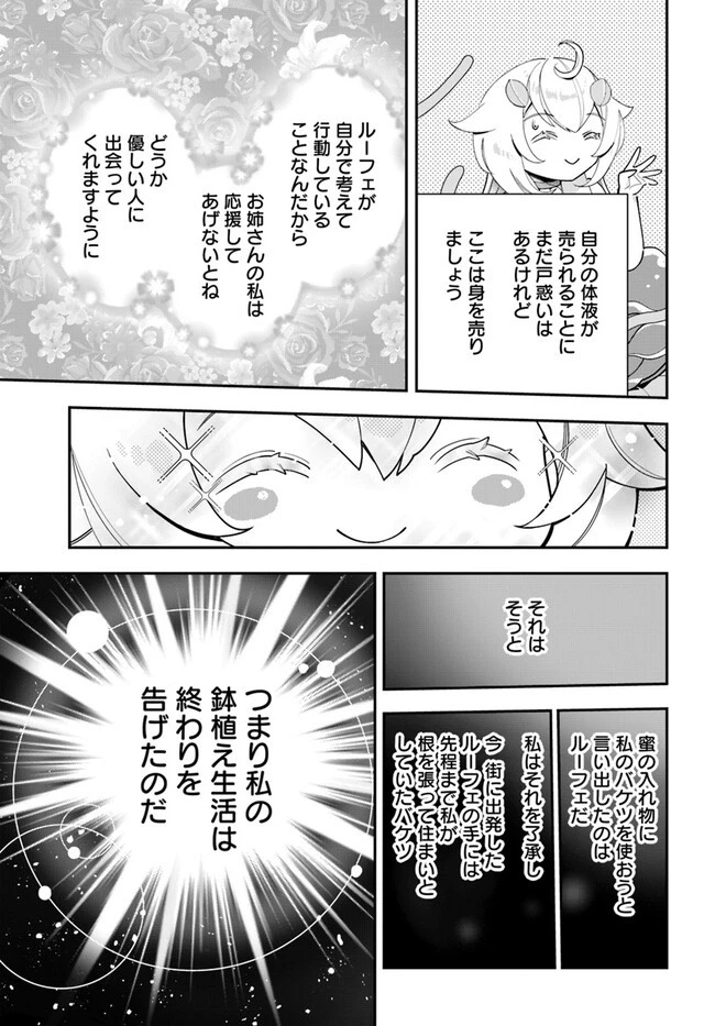 植物モンスター娘日記　～聖女だった私が裏切られた果てにアルラウネに転生してしまったので、これからは光合成をしながら静かに植物ライフを過ごします～ 第21話 - 7