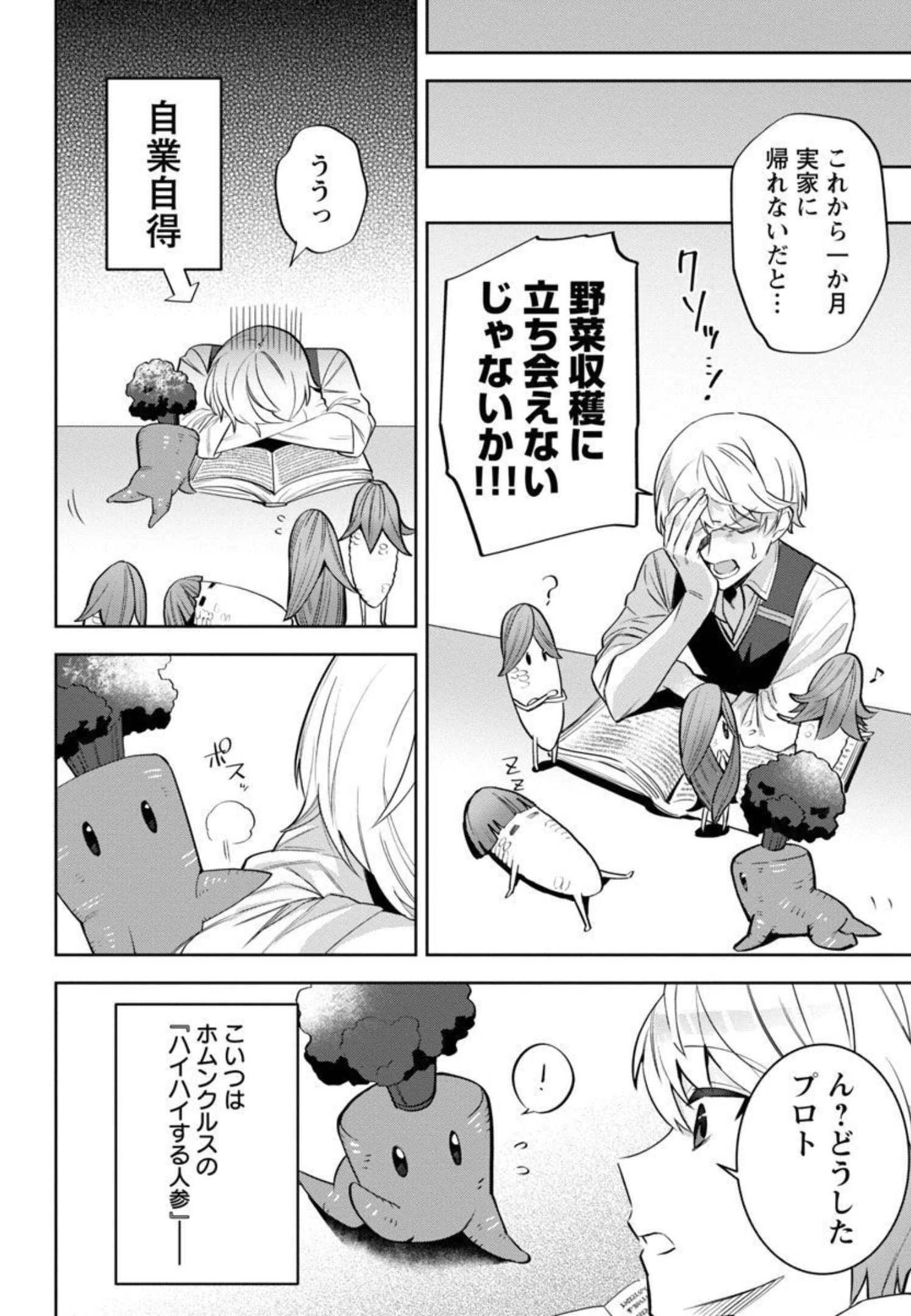 史上最高の天才錬金術師はそろそろ引退したい 第2話 - 13