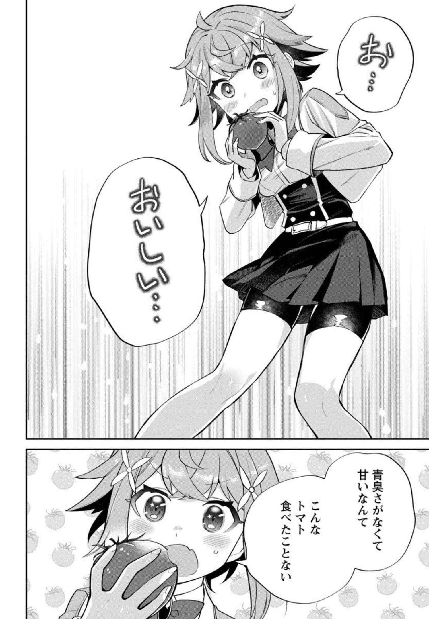 史上最高の天才錬金術師はそろそろ引退したい 第3話 - 25