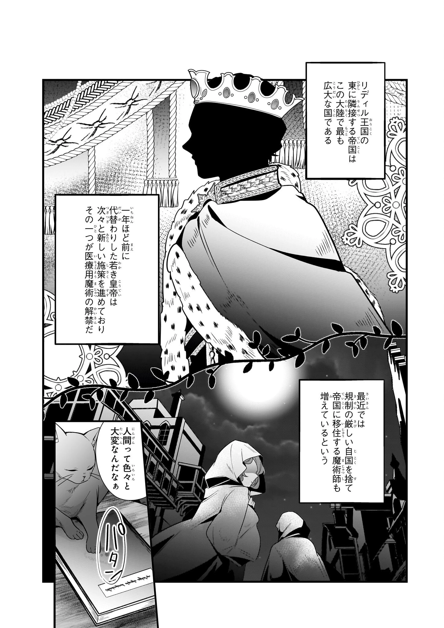 サイレント・ウィッチ　沈黙の魔女の隠しごと 第15話 - 18