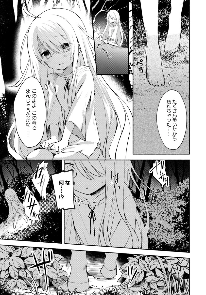 双子の姉が神子として引き取られて、私は捨てられたけど多分私が神子である。 第1話 - 12