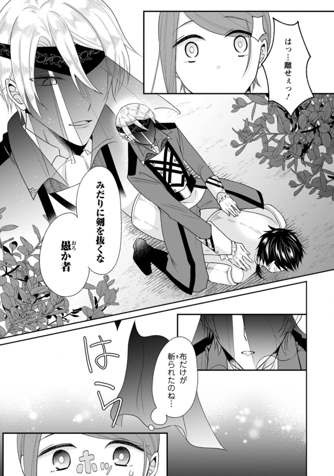 家族に役立たずと言われ続けたわたしが、魔性の公爵騎士様の最愛になるまで 第1話 - 15