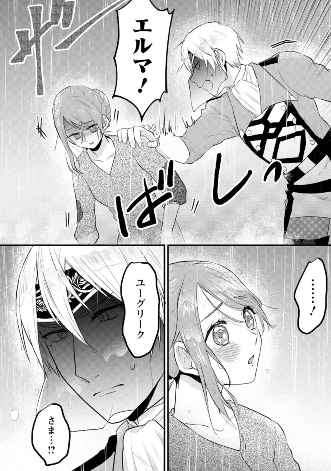 家族に役立たずと言われ続けたわたしが、魔性の公爵騎士様の最愛になるまで 第3.3話 - 11