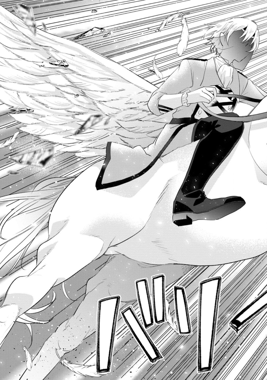 家族に役立たずと言われ続けたわたしが、魔性の公爵騎士様の最愛になるまで 第11.3話 - 9