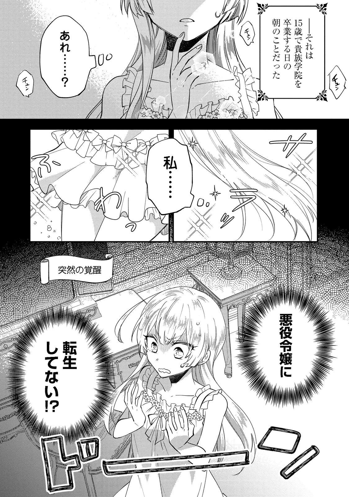 元悪役令嬢とＳ級冒険者のほのぼの街暮らし～不遇なキャラに転生してたけど、理想の美女になれたからプラマイゼロだよね～＠COMIC 第1話 - 4