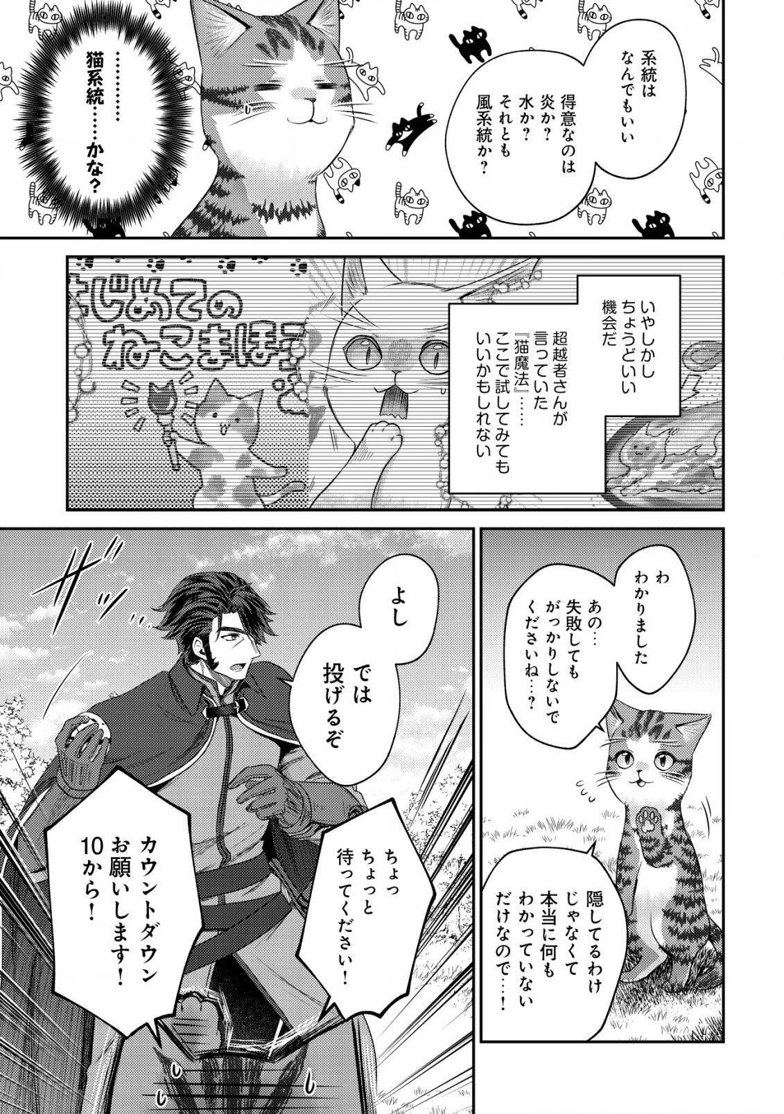 我輩は猫魔導師である～キジトラ・ルークの快適チート猫生活～ 第14.1話 - 9