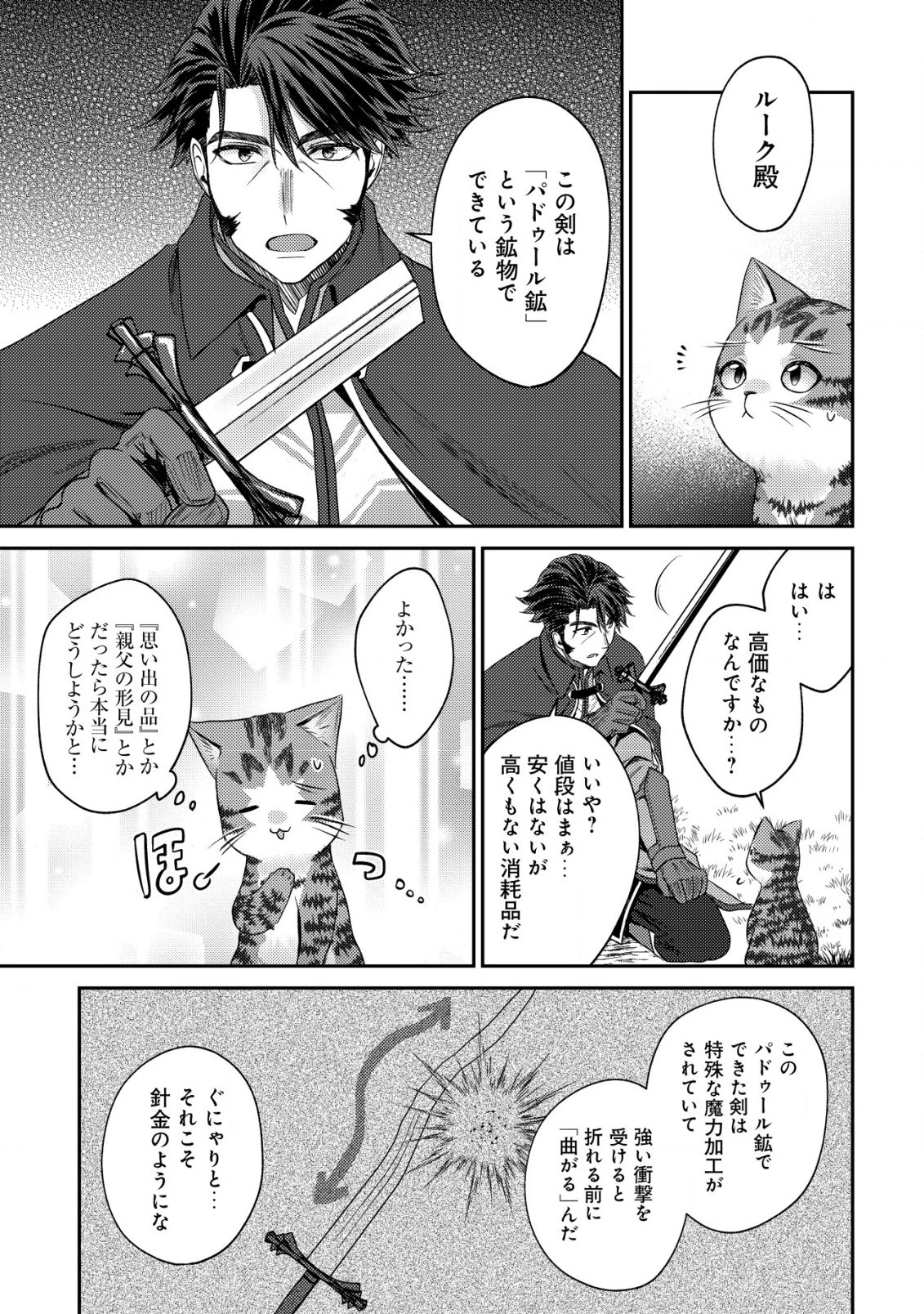 我輩は猫魔導師である～キジトラ・ルークの快適チート猫生活～ 第14.2話 - 8