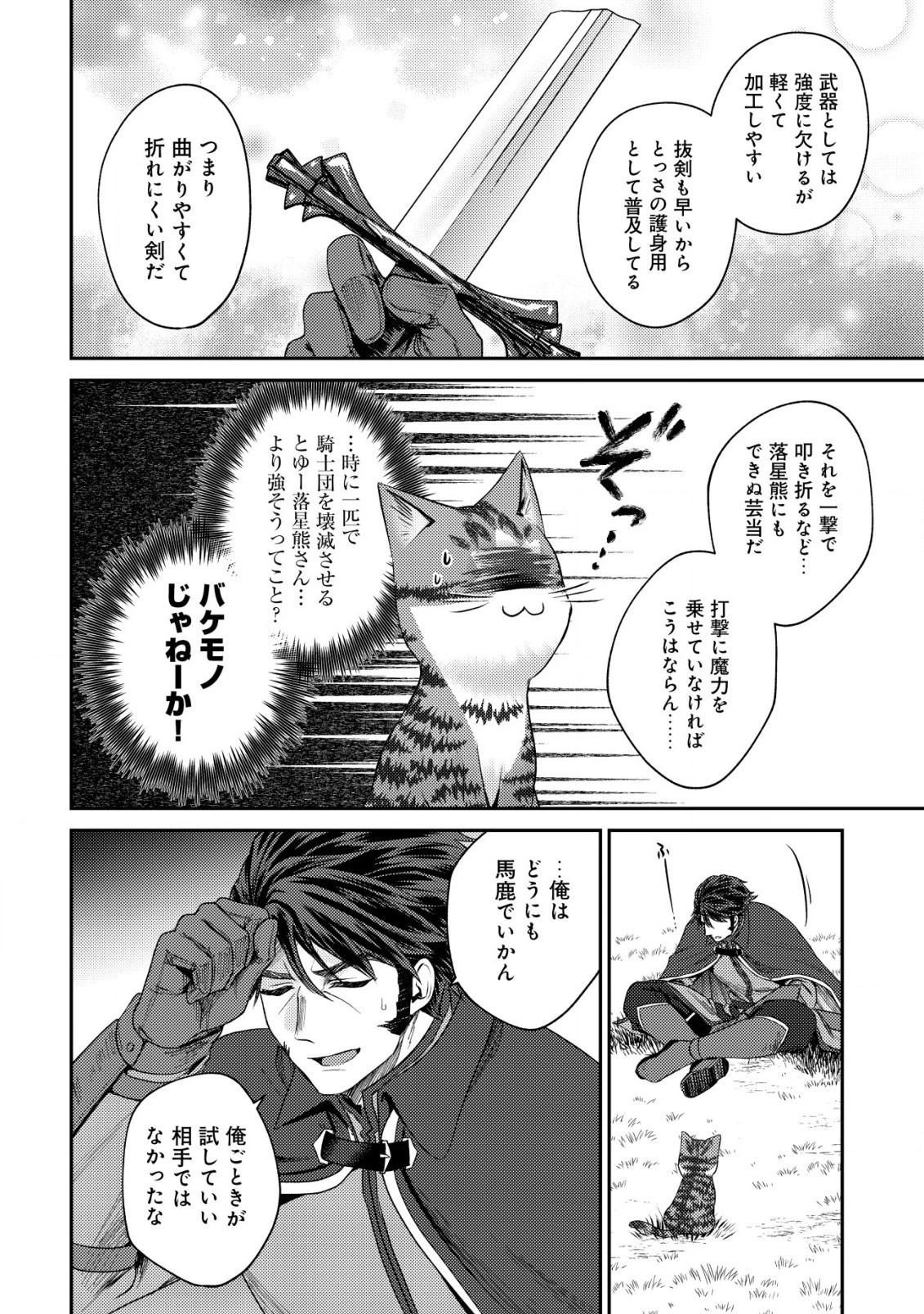 我輩は猫魔導師である～キジトラ・ルークの快適チート猫生活～ 第14.2話 - 9