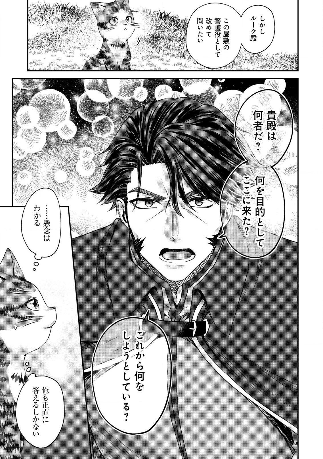 我輩は猫魔導師である～キジトラ・ルークの快適チート猫生活～ 第14.2話 - 10