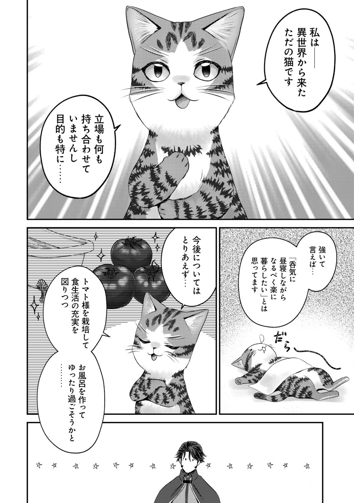 我輩は猫魔導師である～キジトラ・ルークの快適チート猫生活～ 第14.2話 - 11