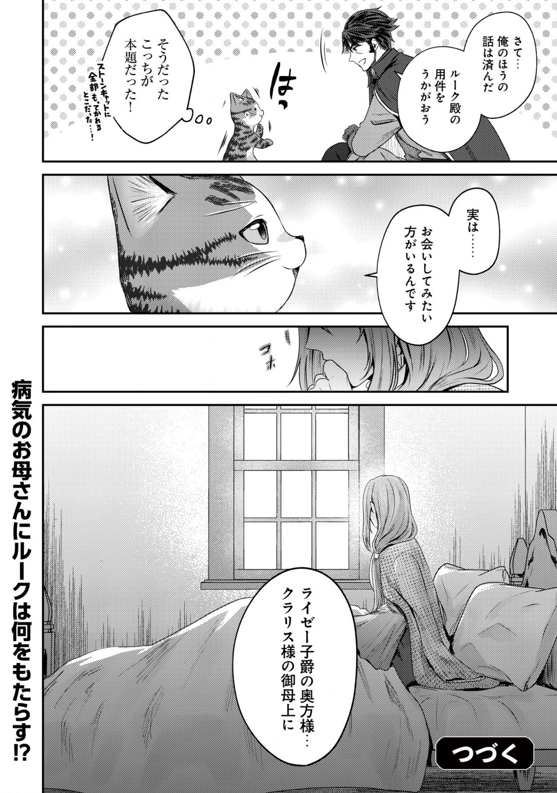 我輩は猫魔導師である～キジトラ・ルークの快適チート猫生活～ 第14.2話 - 13