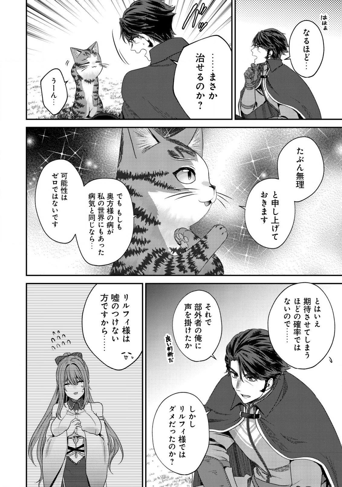 我輩は猫魔導師である～キジトラ・ルークの快適チート猫生活～ 第15話 - 2