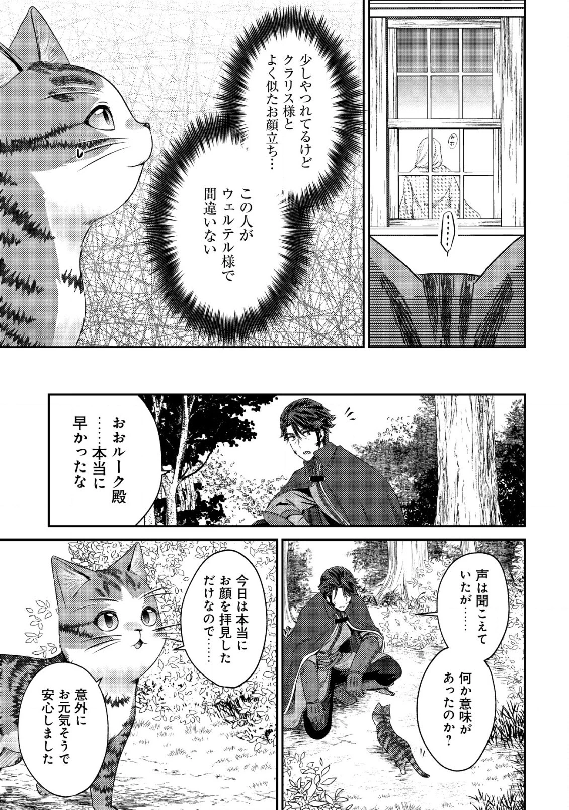 我輩は猫魔導師である～キジトラ・ルークの快適チート猫生活～ 第15話 - 21