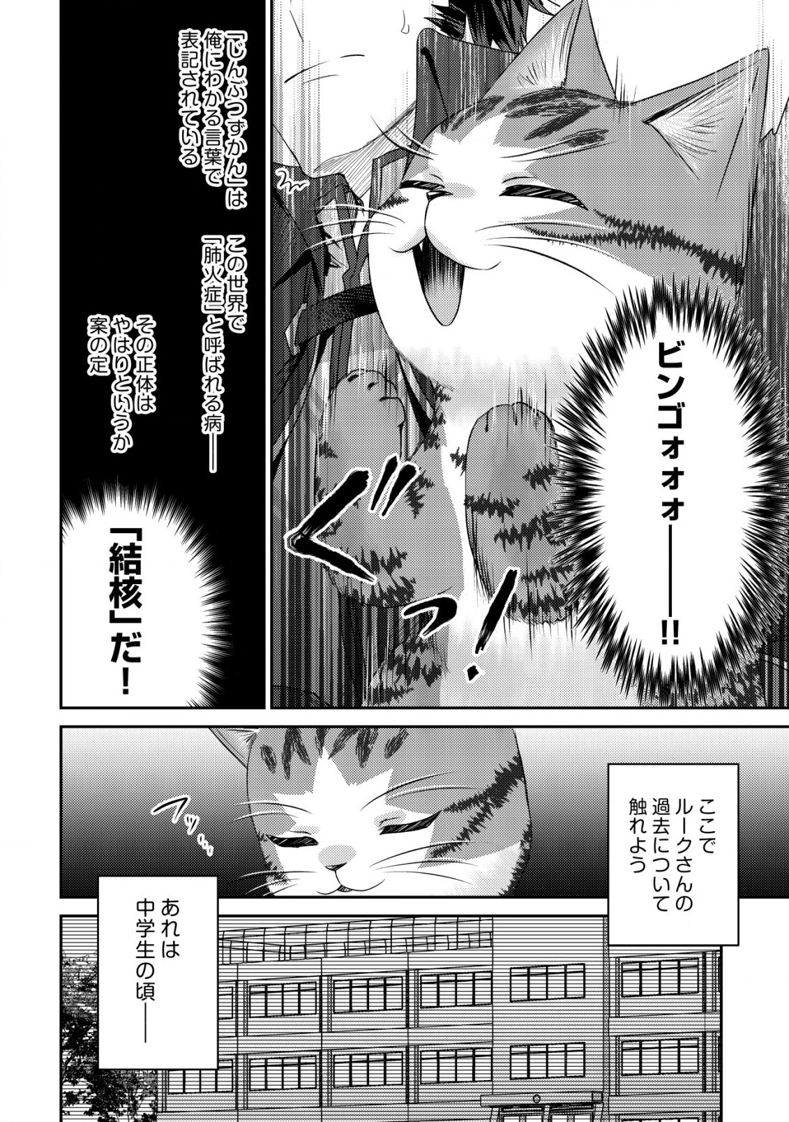 我輩は猫魔導師である～キジトラ・ルークの快適チート猫生活～ 第15話 - 26