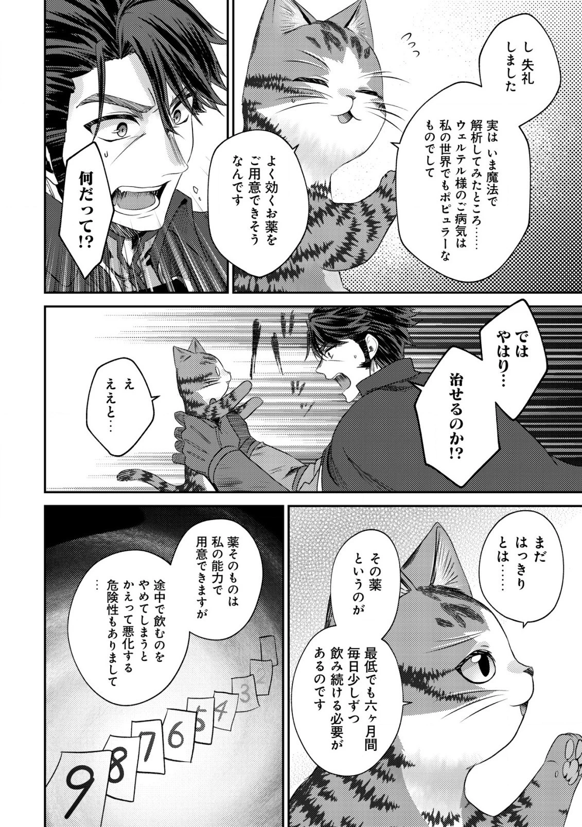 我輩は猫魔導師である～キジトラ・ルークの快適チート猫生活～ 第15話 - 28