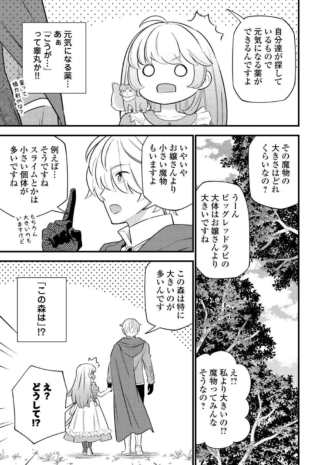 転生幼女はお詫びチートで異世界ごーいんぐまいうぇい 第6話 - 21