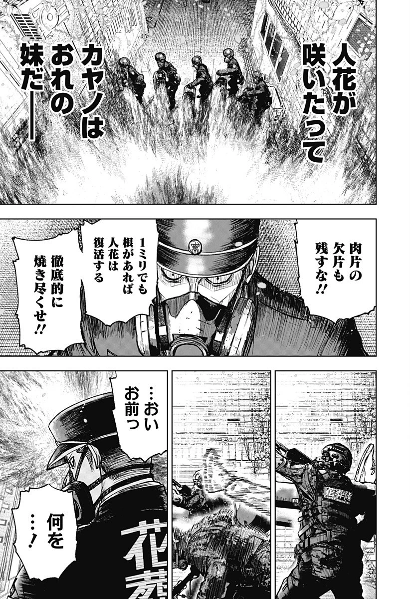 ワイルドストロベリー 第1話 - 65