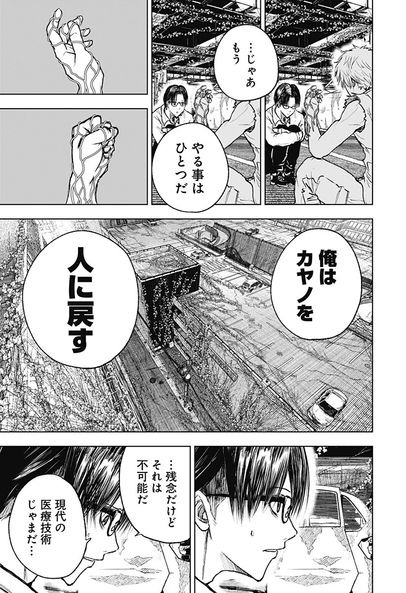 ワイルドストロベリー 第3話 - 11