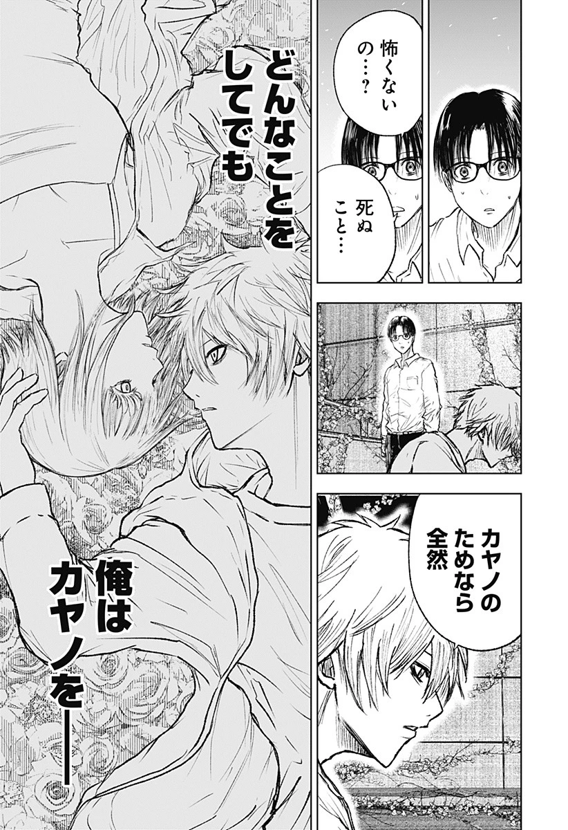 ワイルドストロベリー 第3話 - 13