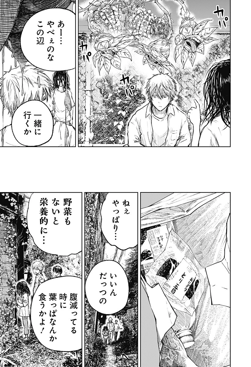 ワイルドストロベリー 第3話 - 21