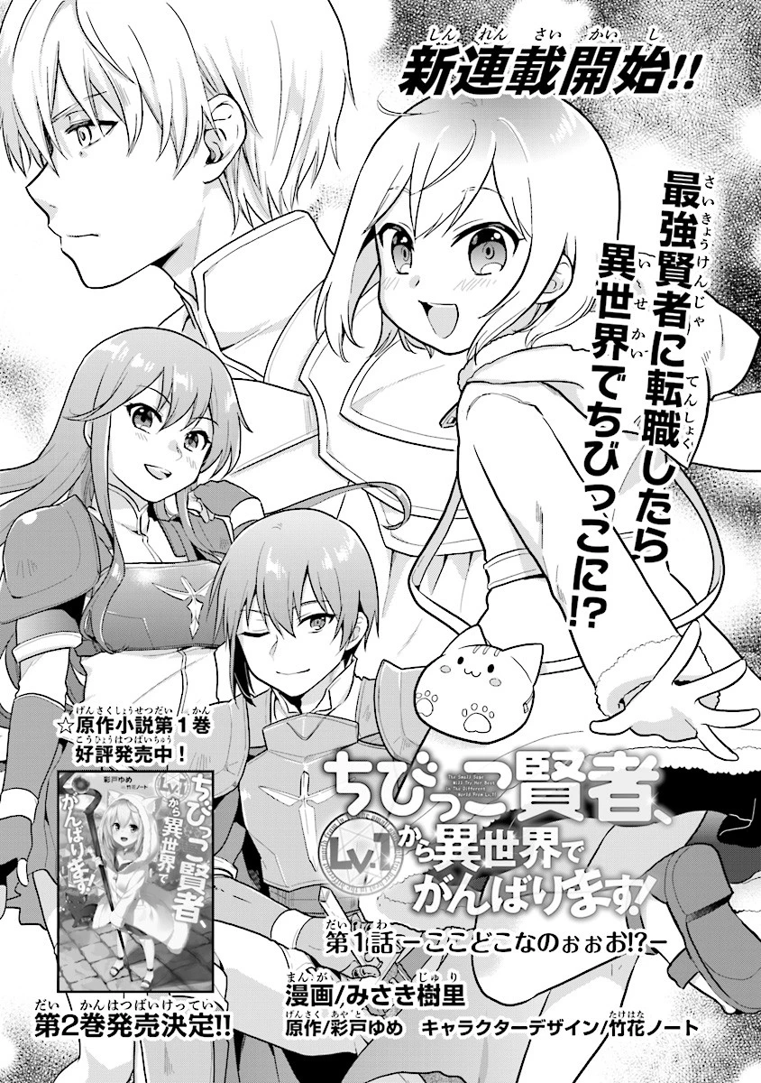 ちびっこ賢者、LV.1から異世界でがんばります！ 第1話 - 3