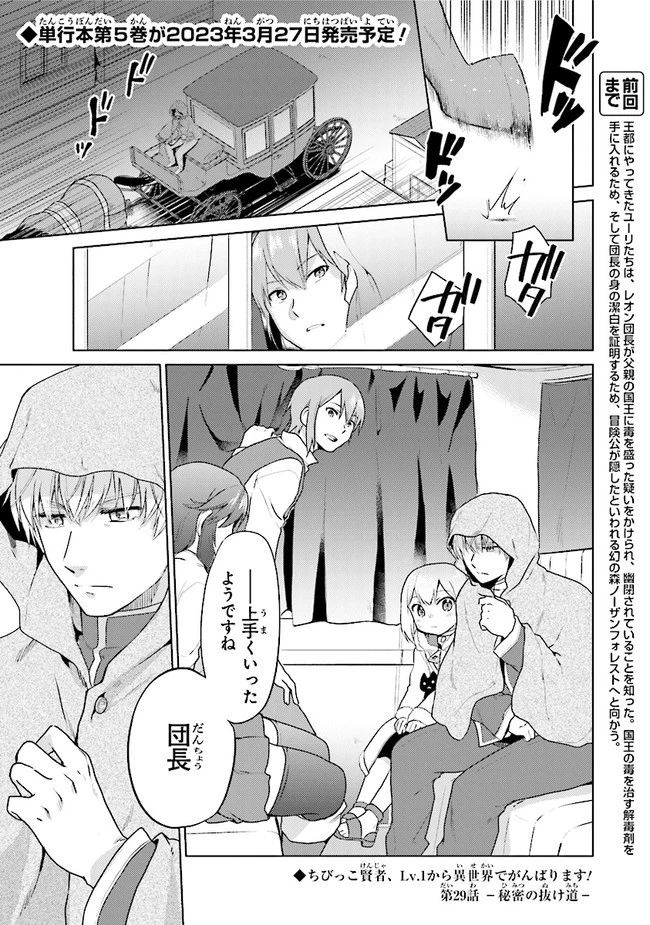 ちびっこ賢者、LV.1から異世界でがんばります！ 第29話 - 1