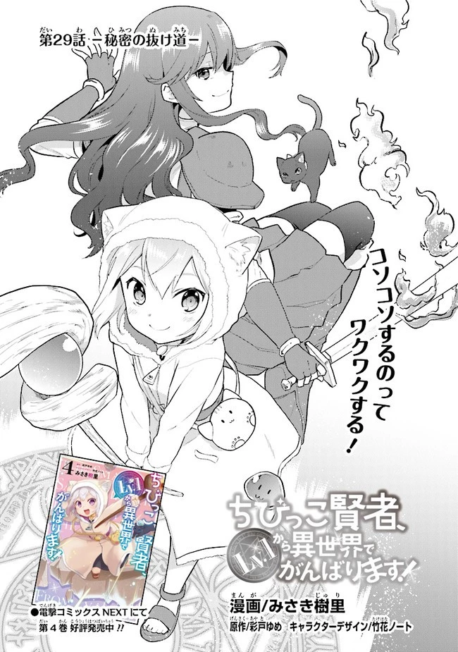 ちびっこ賢者、LV.1から異世界でがんばります！ 第29話 - 2