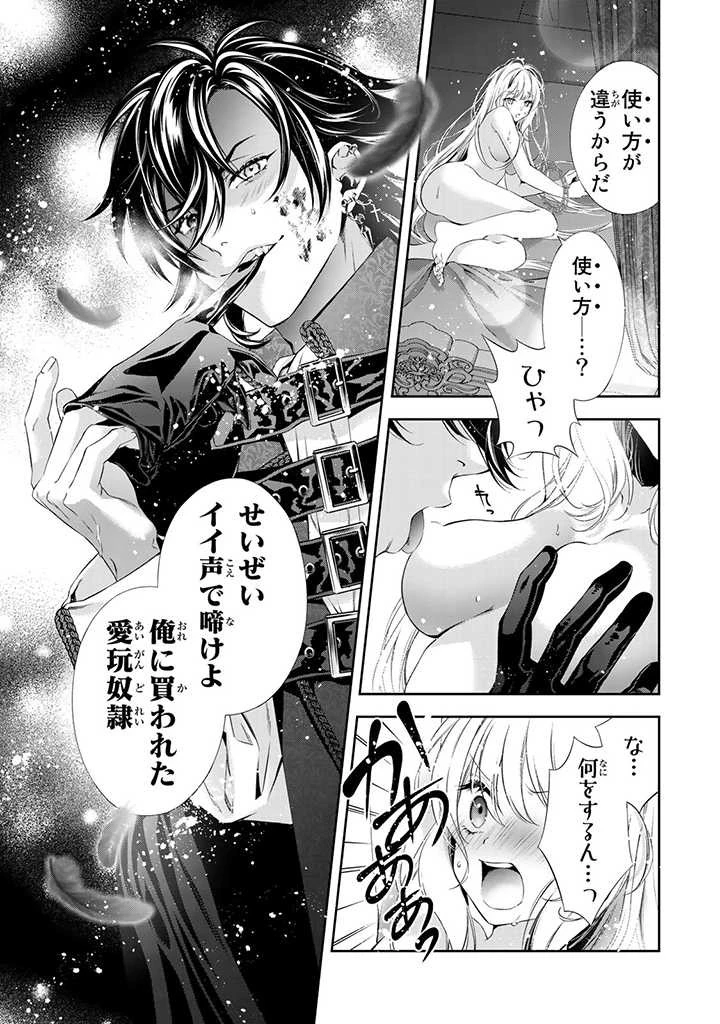 転生王女の私、異世界サラ金王子にお買い上げされて愛玩奴隷になりました。 ～ブラック実家が買い戻そうにももう遅い～ 第1.3話 - 14