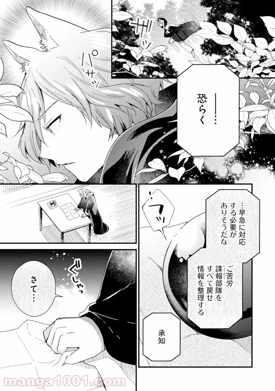 6歳の賢者は日陰の道を歩みたい 第14話 - 41