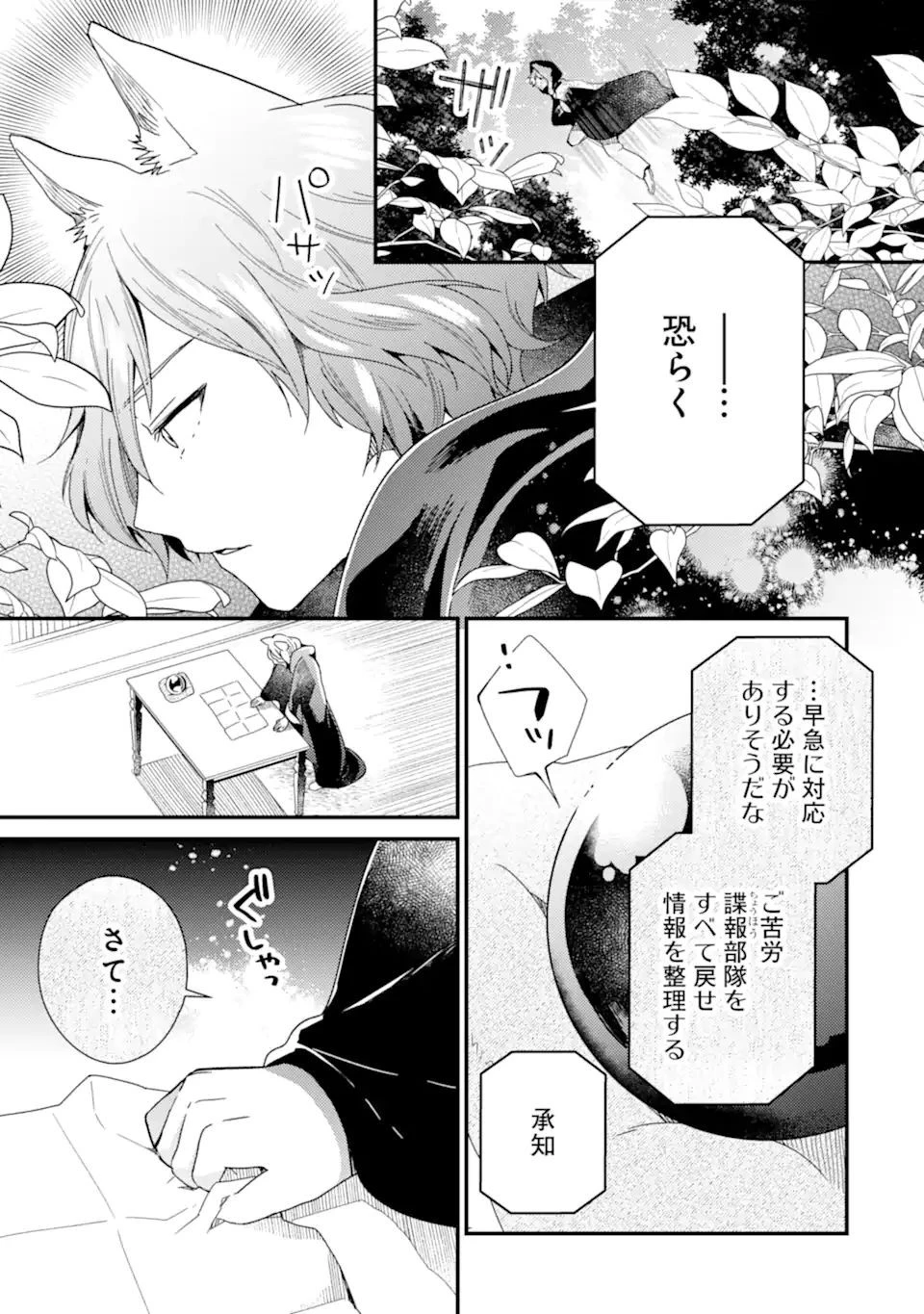 6歳の賢者は日陰の道を歩みたい 第14.1話 - 21