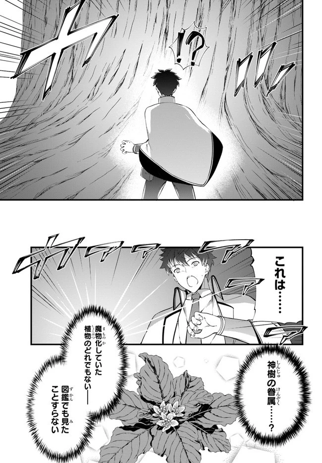 はぐれ精霊医の診察記録 ～聖女騎士団と癒やしの神業～ 第19話 - 9