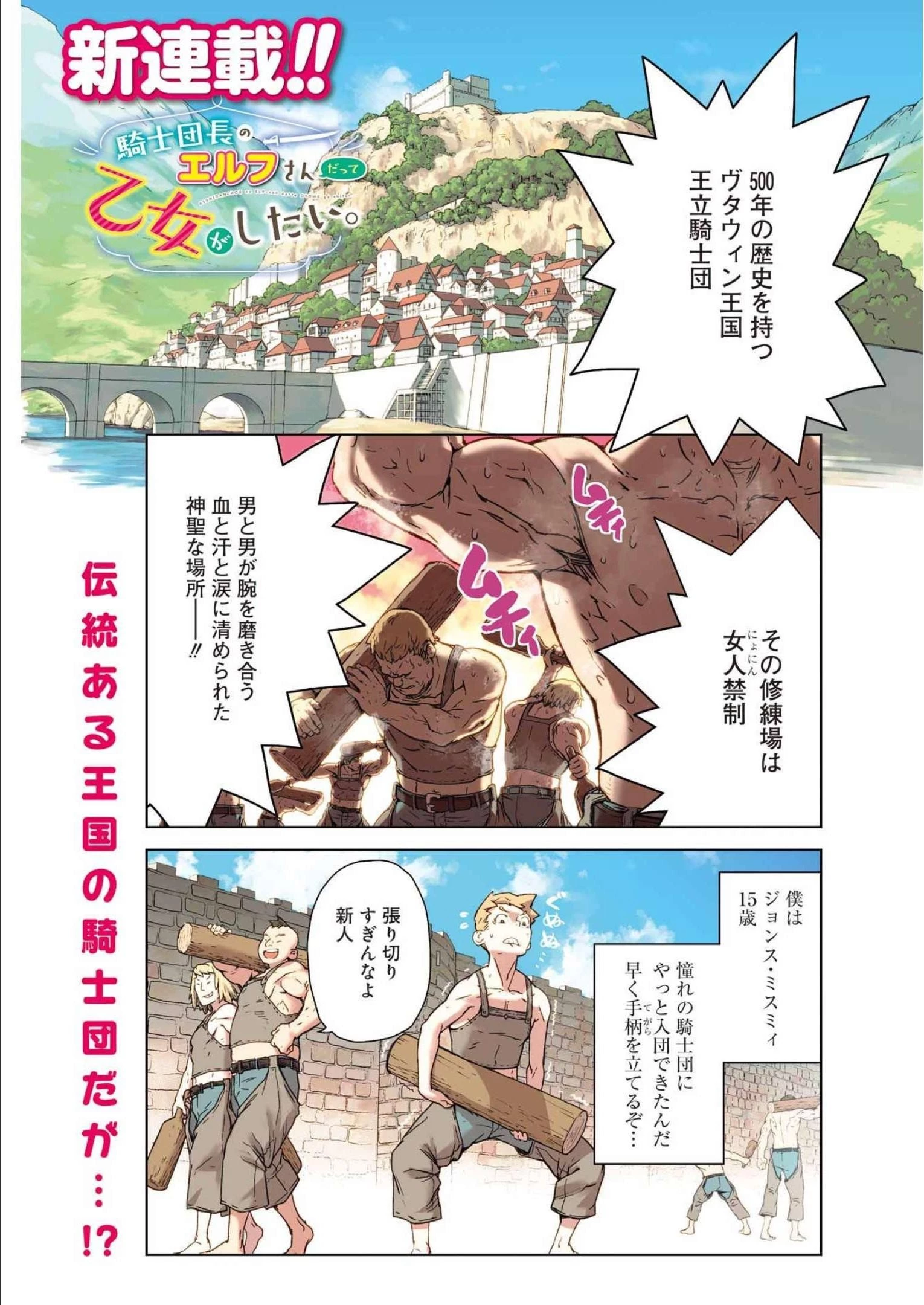 騎士団長のエルフさんだって乙女がしたい。 第1話 - 1