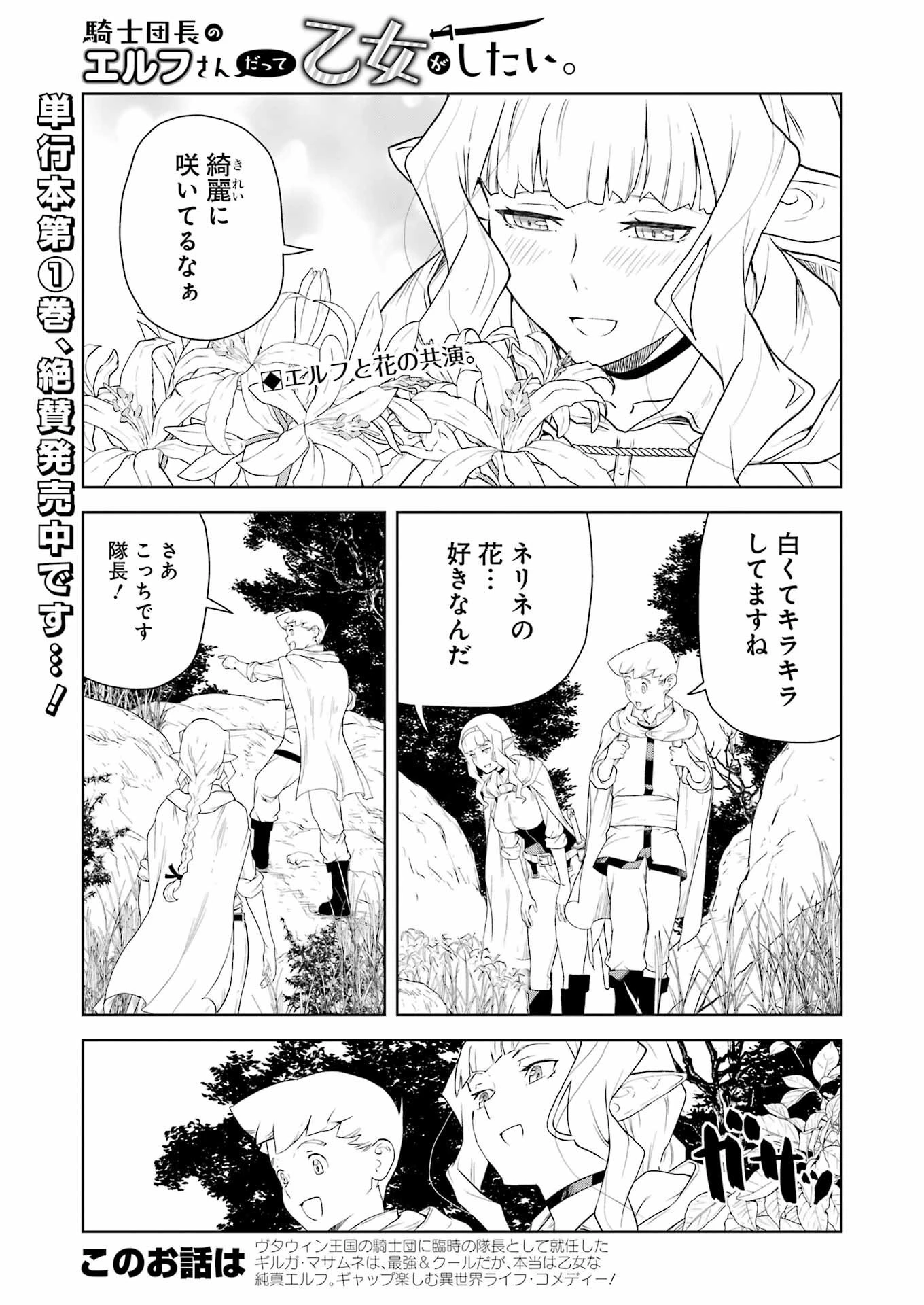 騎士団長のエルフさんだって乙女がしたい。 第17話 - 1