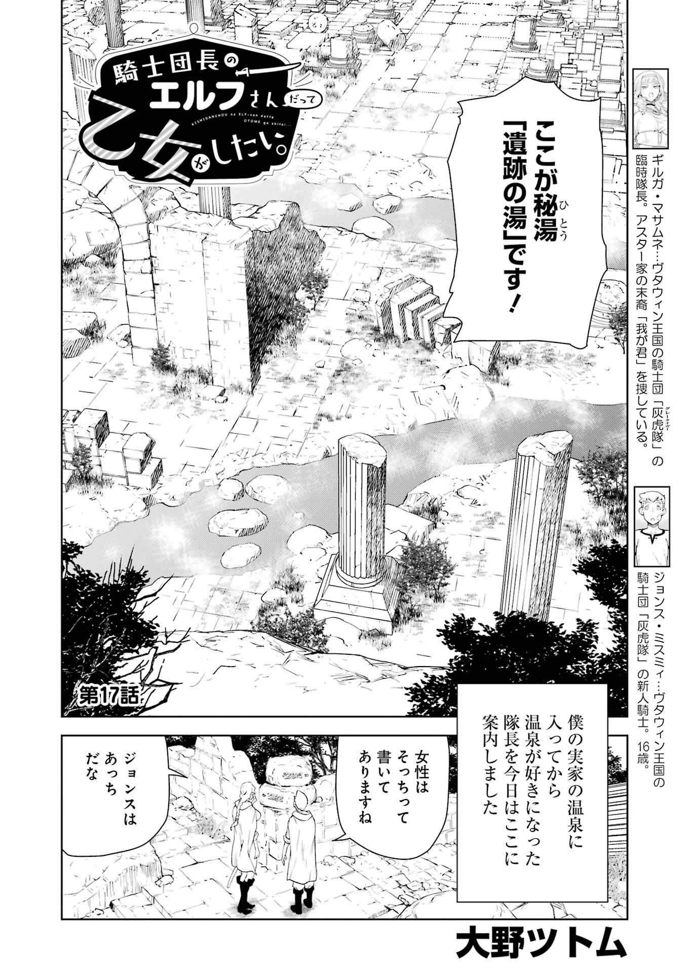 騎士団長のエルフさんだって乙女がしたい。 第17話 - 2