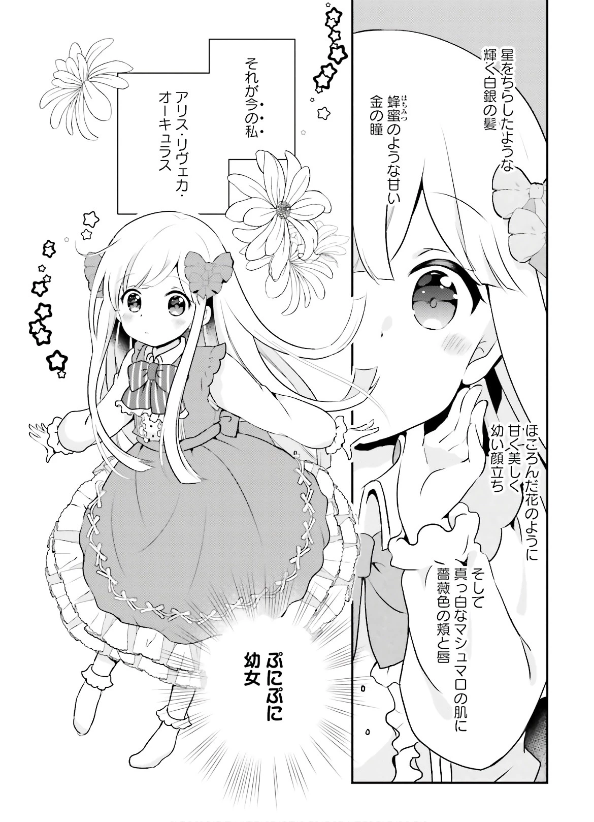 転生したら乙女ゲーの世界？ いえ、魔術を極めるのに忙しいのでそういうのは結構です。 第1話 - 14